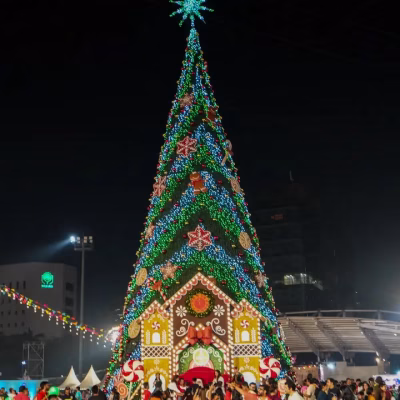 1764139678776-christmas-flesta-mumbai