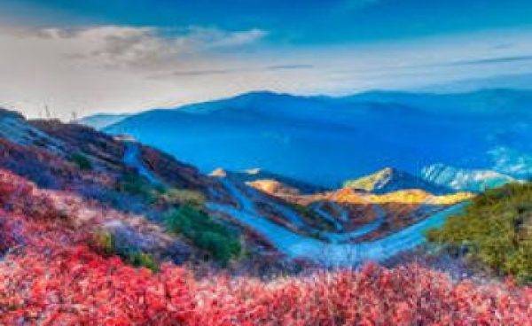 deals_202001301580385283-0